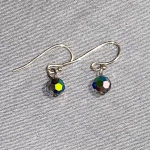 Rainbow Disco Earrings